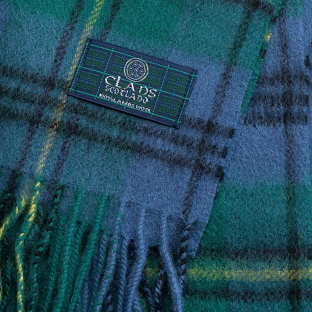 картинка Clans of Scotland Campbell Clan Ancient от магазина  Mykilt